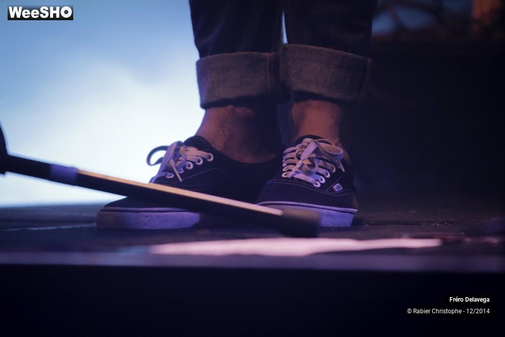 30/50 photos du spectacle Fréro Delavega