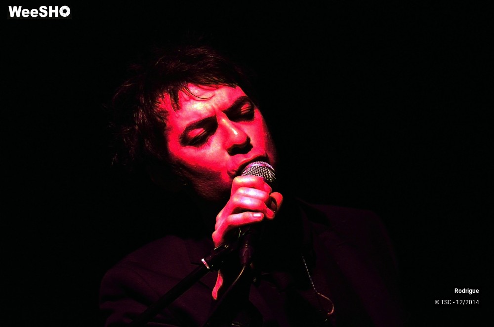 13/24 photos du spectacle Rodrigue