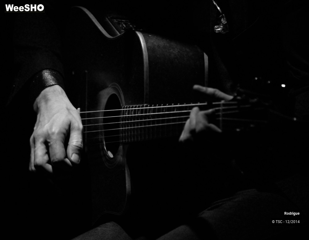 15/24 photos du spectacle Rodrigue