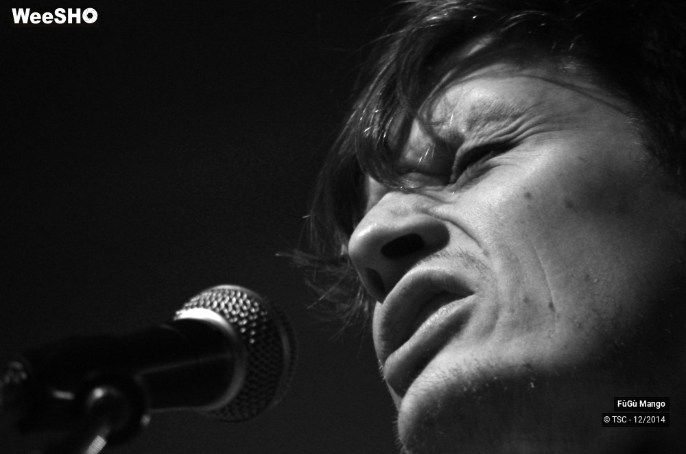 1/10 photos du spectacle FùGù Mango