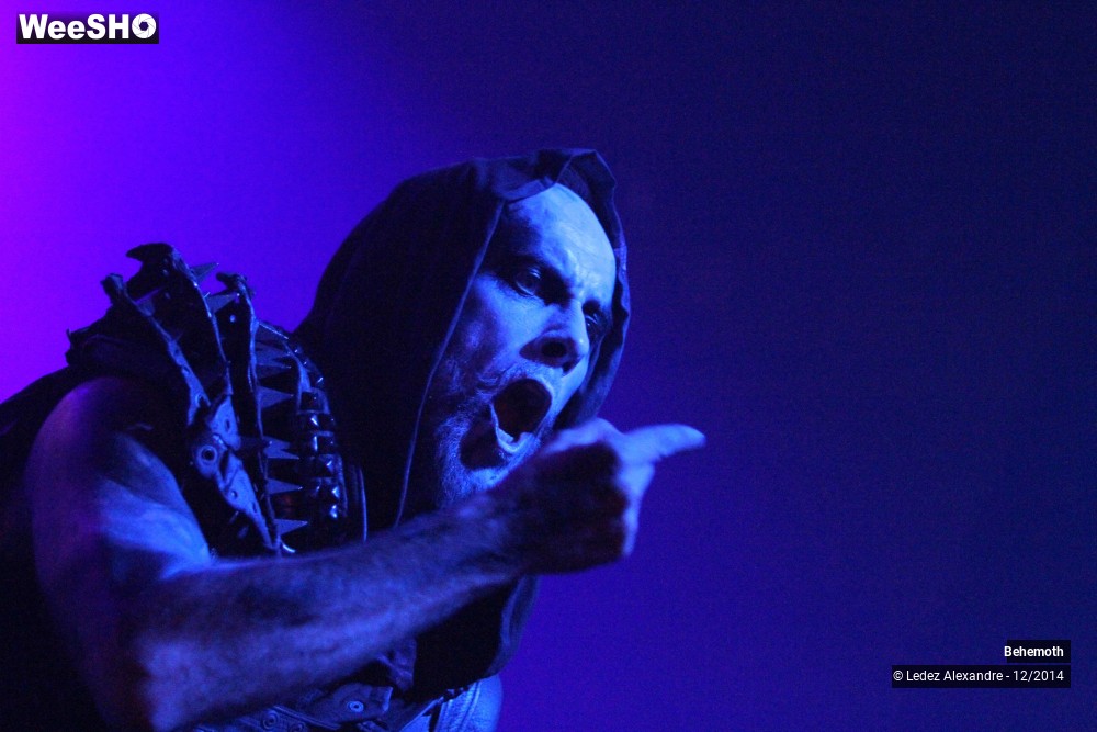 25/31 photos du spectacle Behemoth