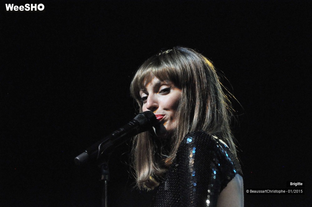 8/51 photos du spectacle Brigitte