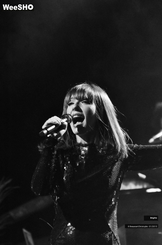 17/51 photos du spectacle Brigitte