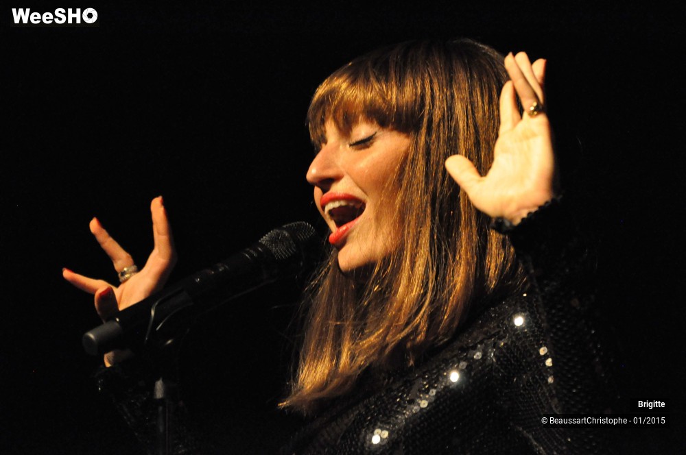 19/51 photos du spectacle Brigitte