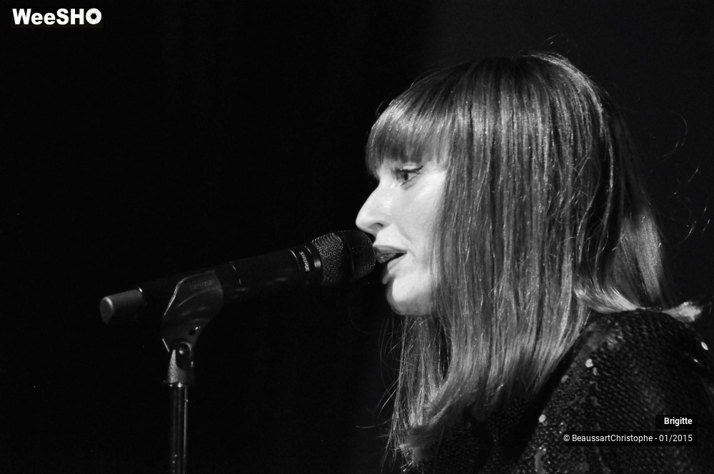 22/51 photos du spectacle Brigitte
