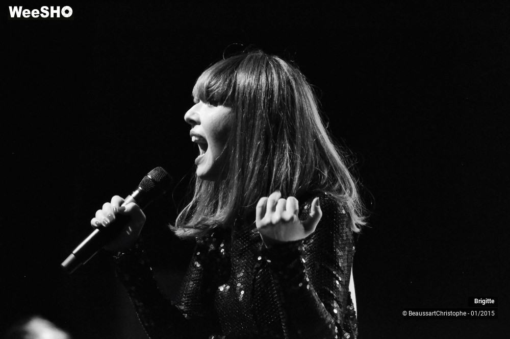 31/51 photos du spectacle Brigitte