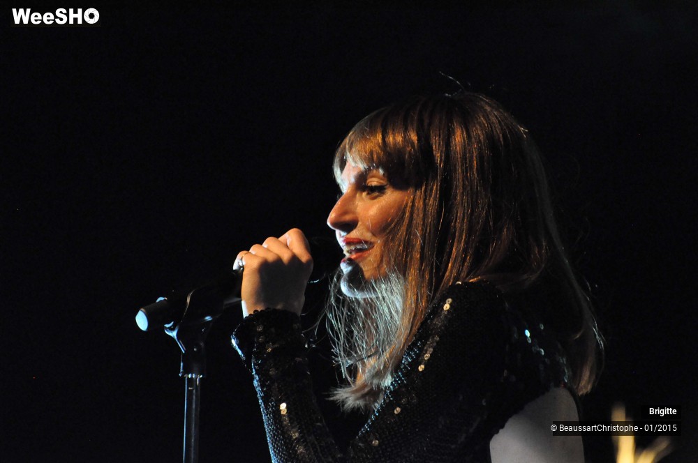 32/51 photos du spectacle Brigitte