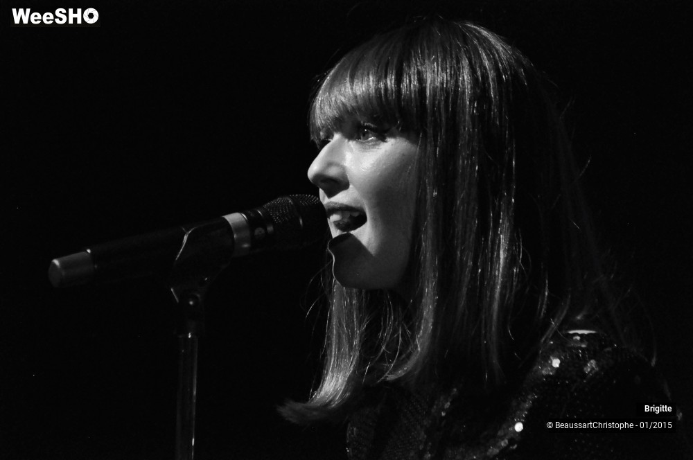 33/51 photos du spectacle Brigitte