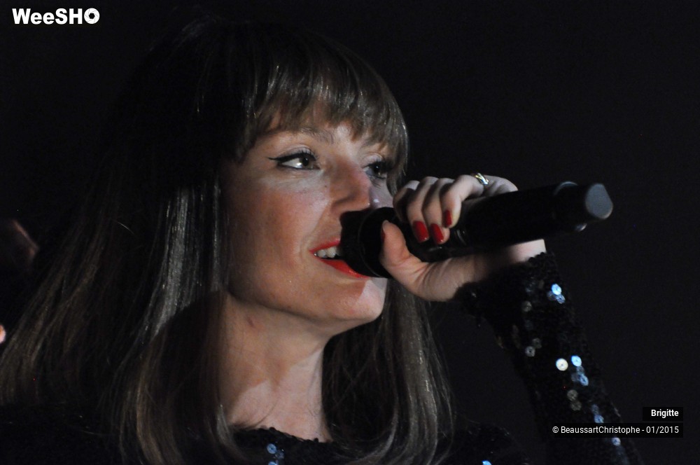 34/51 photos du spectacle Brigitte