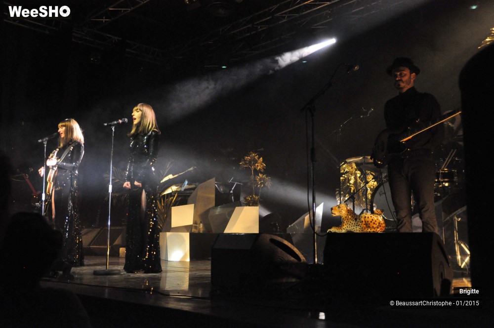 35/51 photos du spectacle Brigitte