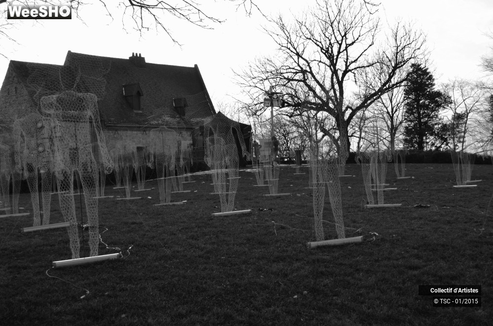 14/50 photos du spectacle Fête d'ouverture de Mons 2015