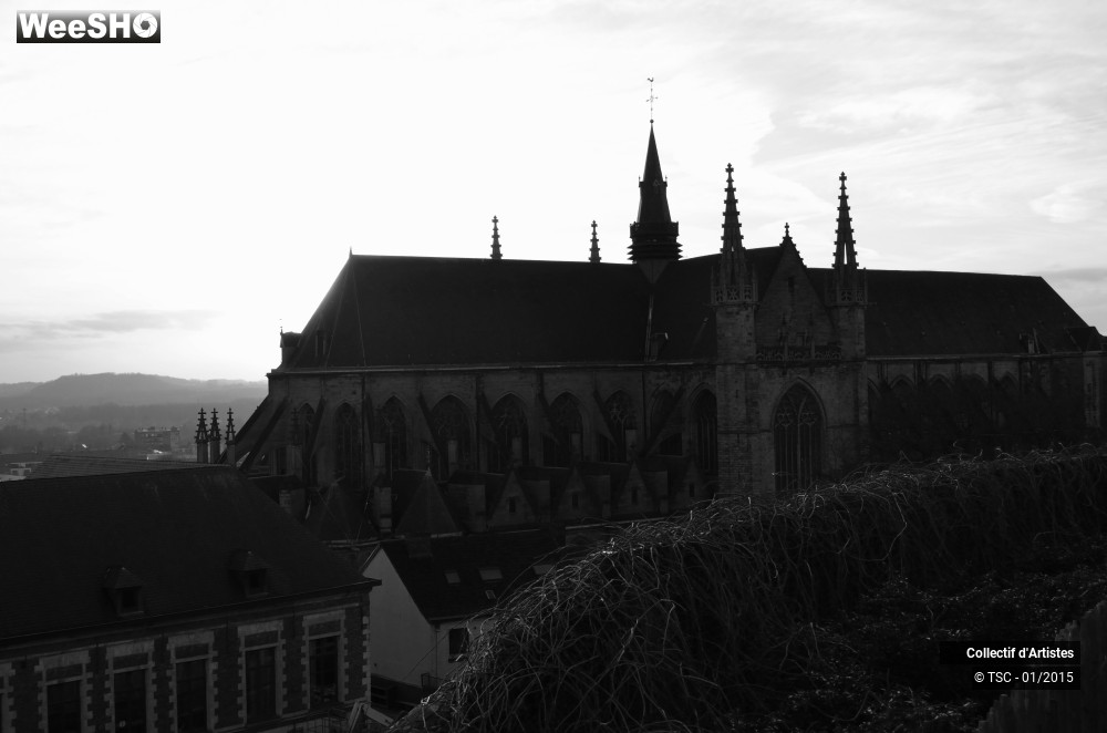 16/50 photos du spectacle Fête d'ouverture de Mons 2015