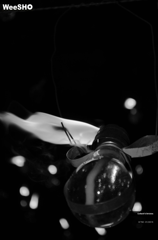 21/50 photos du spectacle Fête d'ouverture de Mons 2015