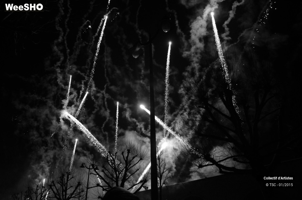 28/50 photos du spectacle Fête d'ouverture de Mons 2015