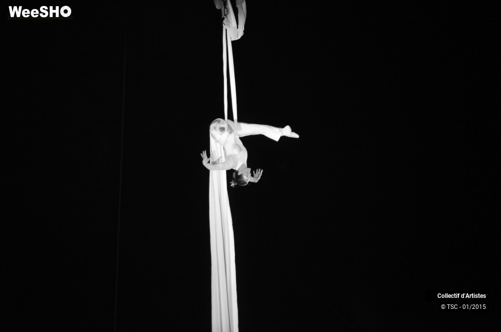 31/50 photos du spectacle Fête d'ouverture de Mons 2015