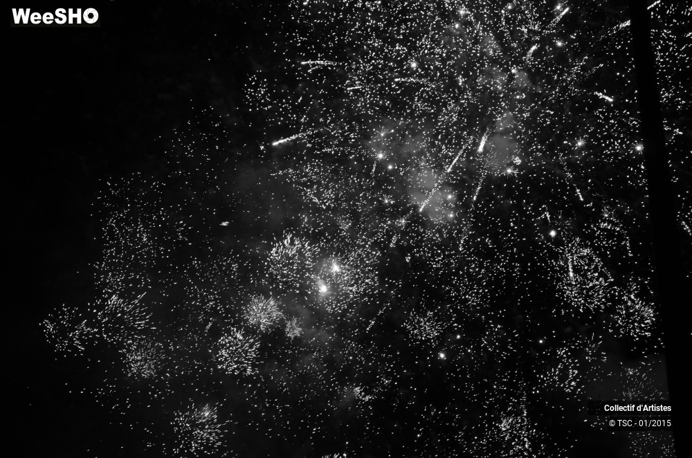 33/50 photos du spectacle Fête d'ouverture de Mons 2015