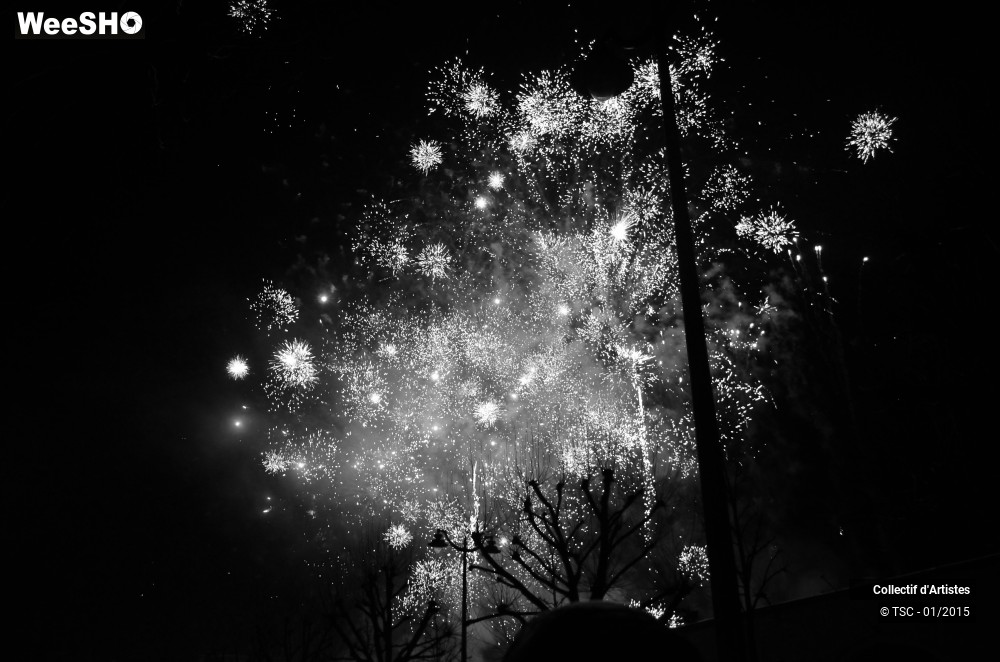 44/50 photos du spectacle Fête d'ouverture de Mons 2015