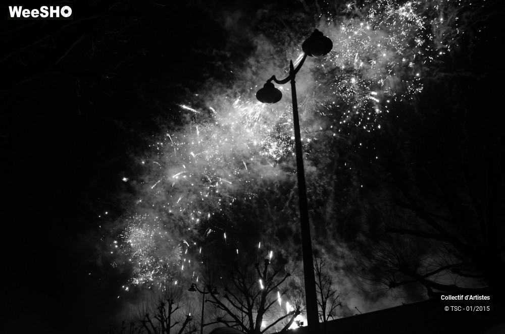 49/50 photos du spectacle Fête d'ouverture de Mons 2015