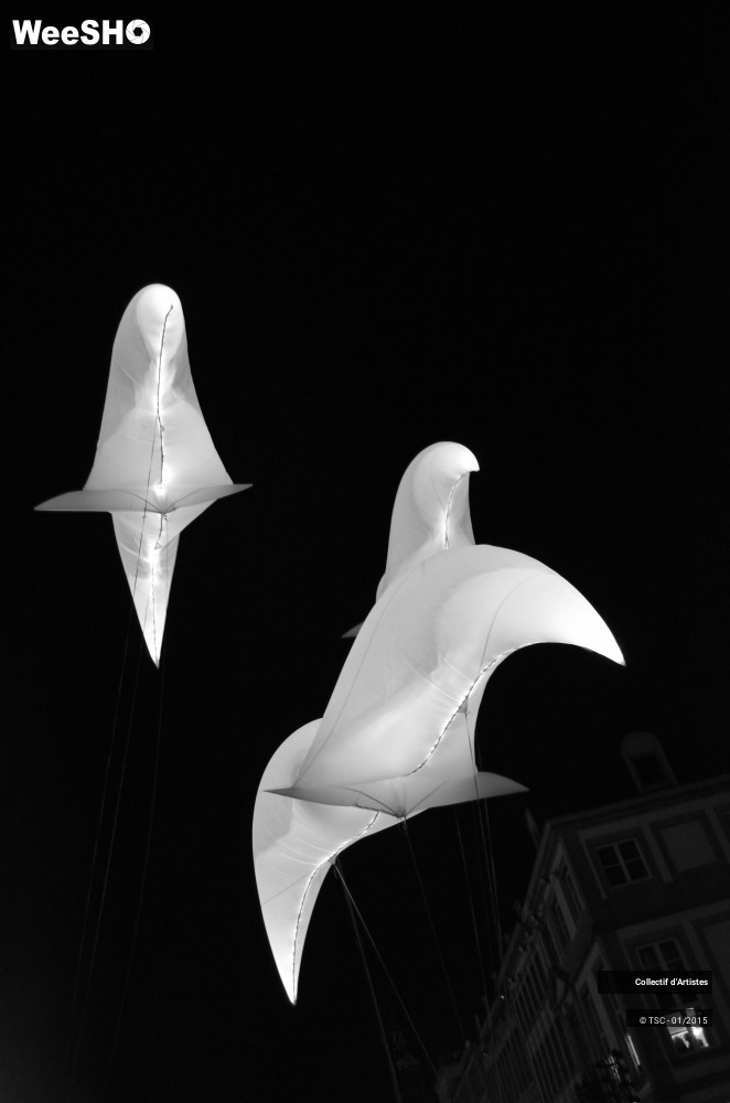 50/50 photos du spectacle Fête d'ouverture de Mons 2015