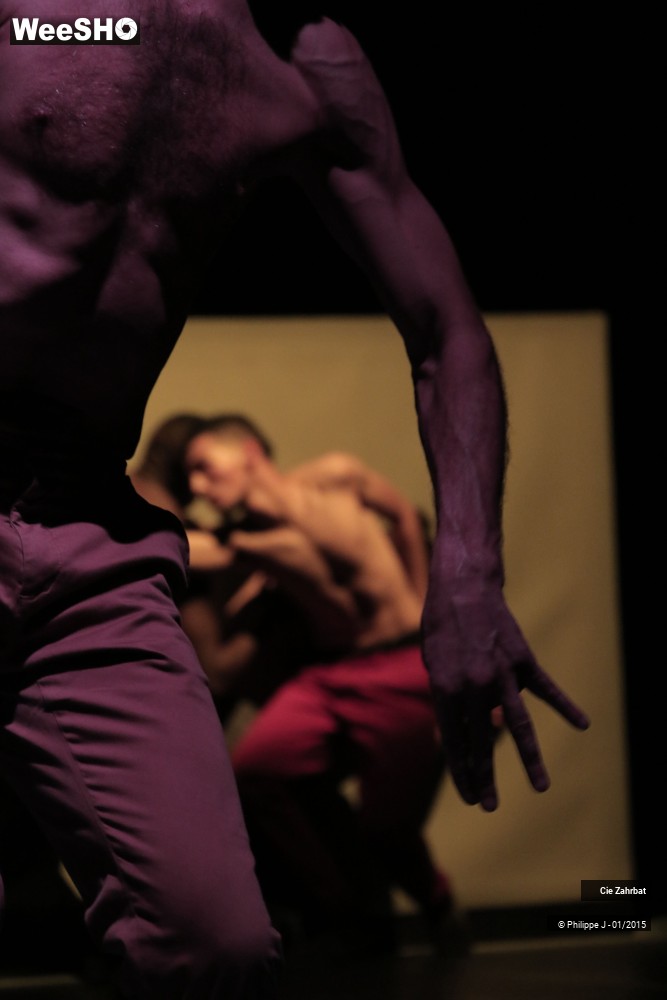 4/20 photos du spectacle Sillons