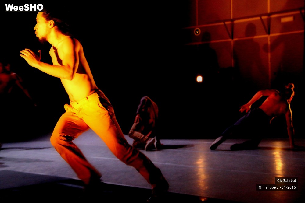 12/20 photos du spectacle Sillons