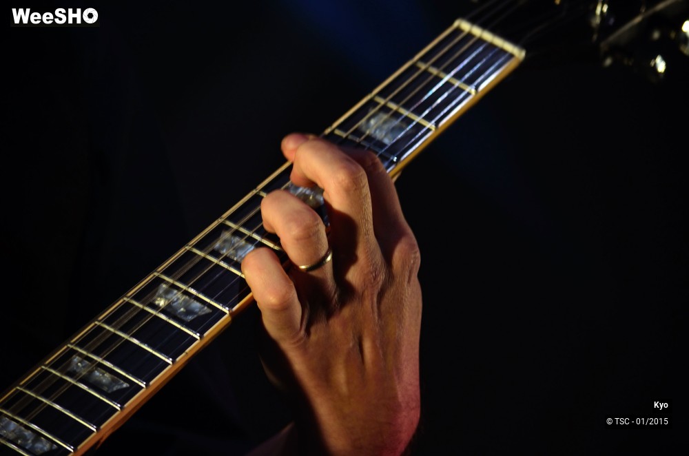 16/19 photos du spectacle Kyo