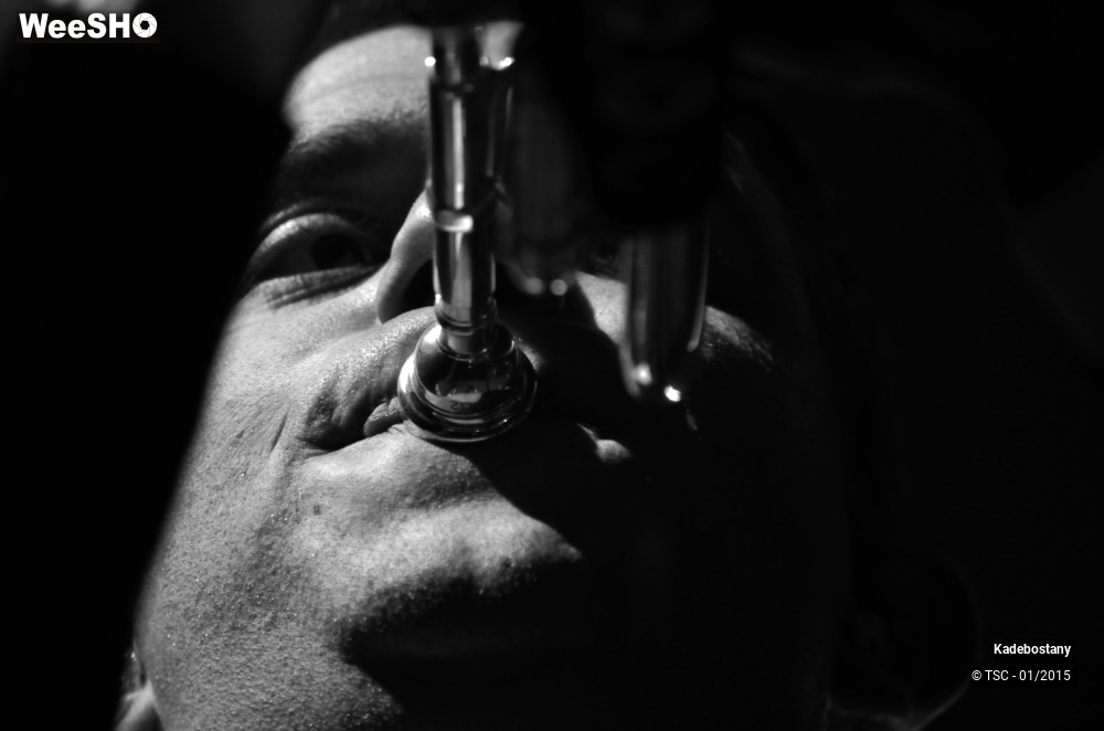 14/19 photos du spectacle Kadebostany