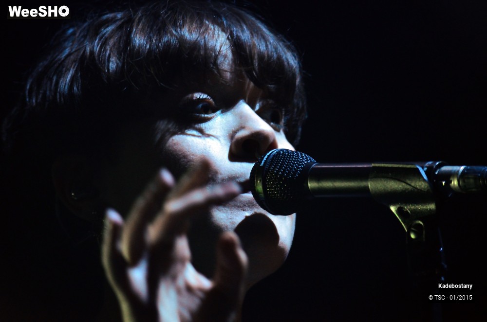 15/19 photos du spectacle Kadebostany