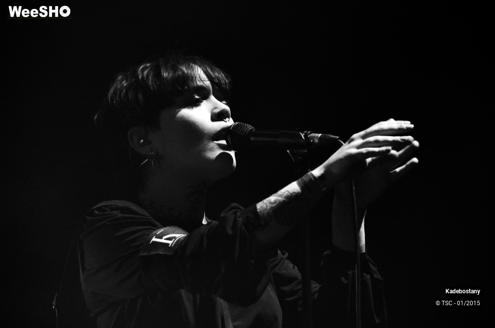 16/19 photos du spectacle Kadebostany