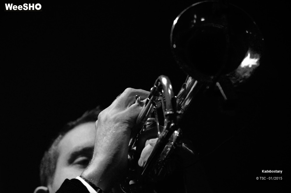 17/19 photos du spectacle Kadebostany