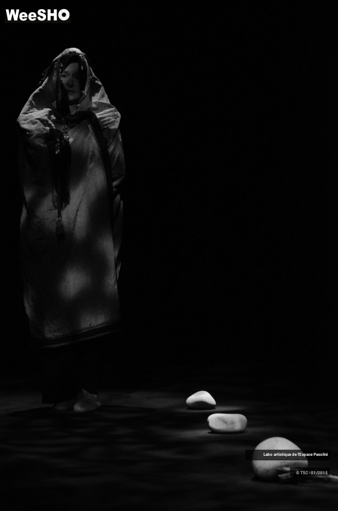 2/21 photos du spectacle La semeuse de rêves 