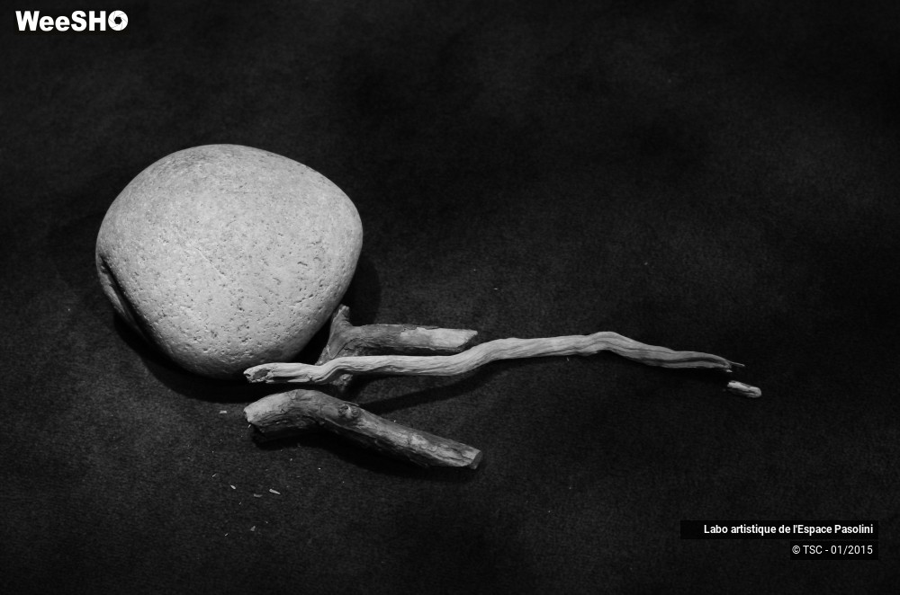 6/21 photos du spectacle La semeuse de rêves 