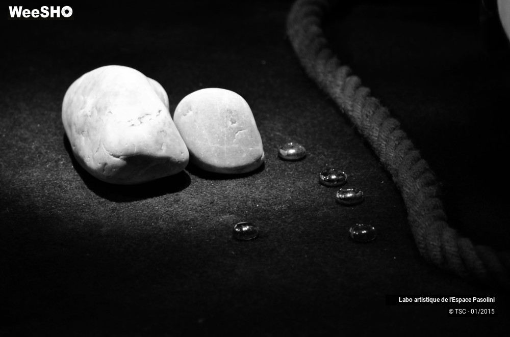 8/21 photos du spectacle La semeuse de rêves 