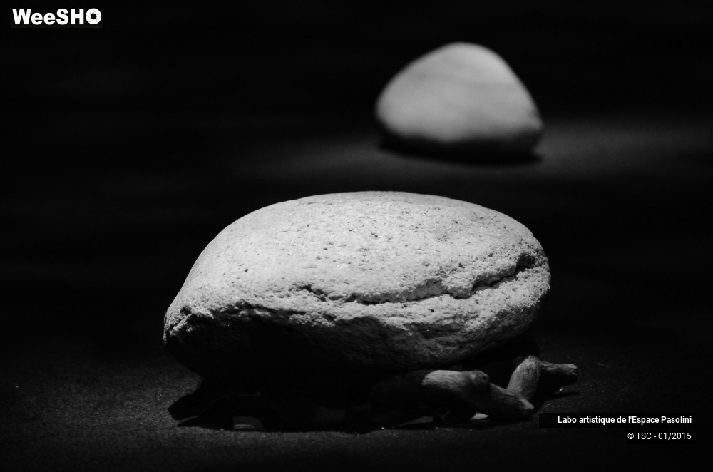 17/21 photos du spectacle La semeuse de rêves 