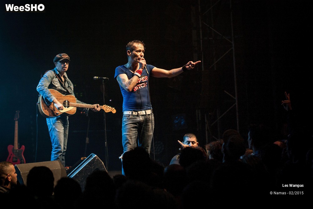 2/41 photos du spectacle Les Wampas