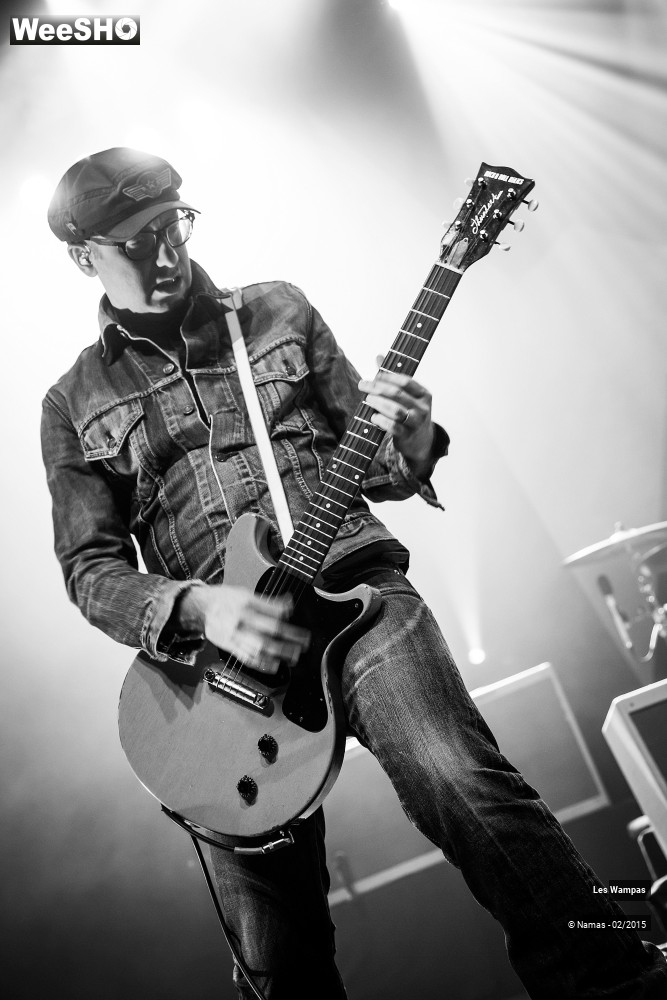 5/41 photos du spectacle Les Wampas