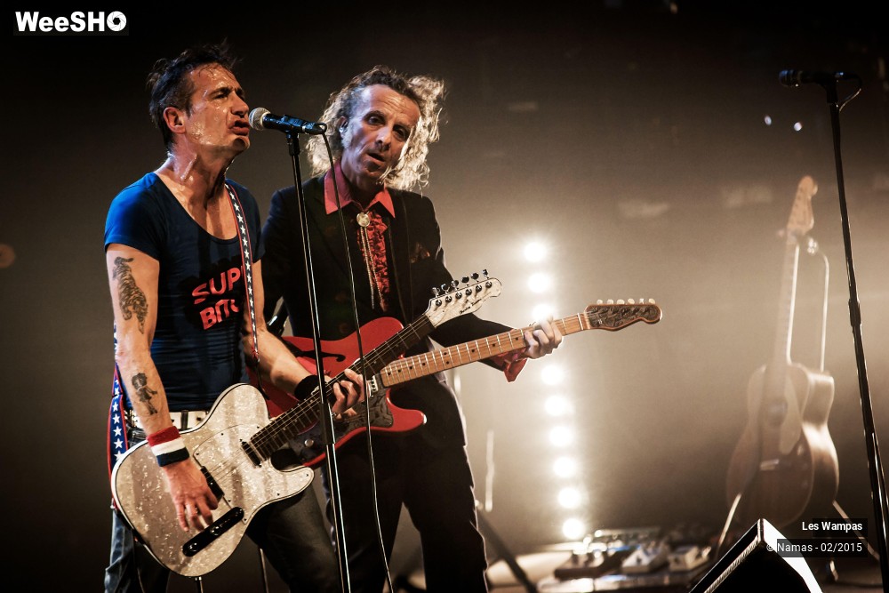 6/41 photos du spectacle Les Wampas