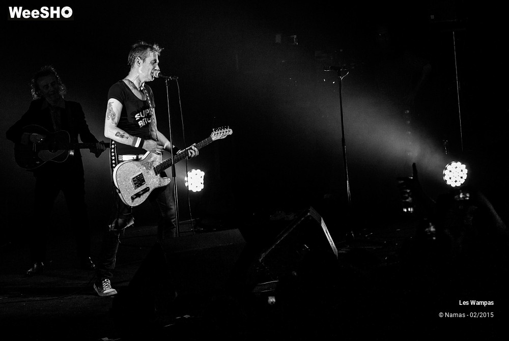 14/41 photos du spectacle Les Wampas