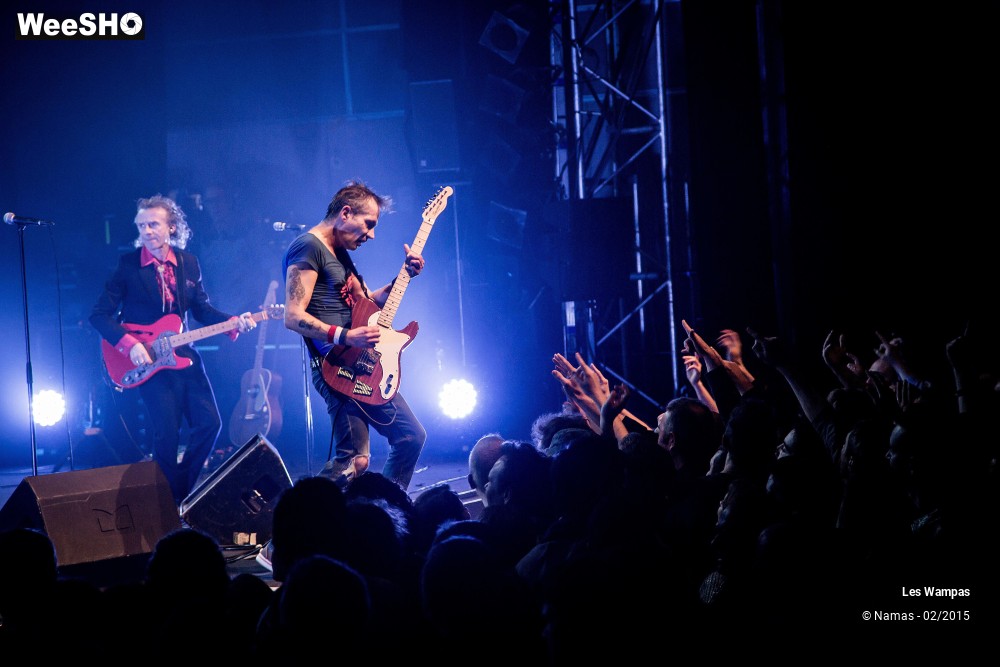 16/41 photos du spectacle Les Wampas