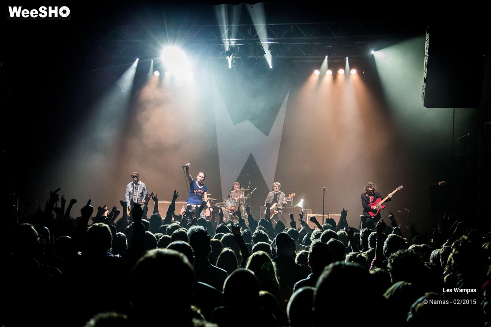 19/41 photos du spectacle Les Wampas