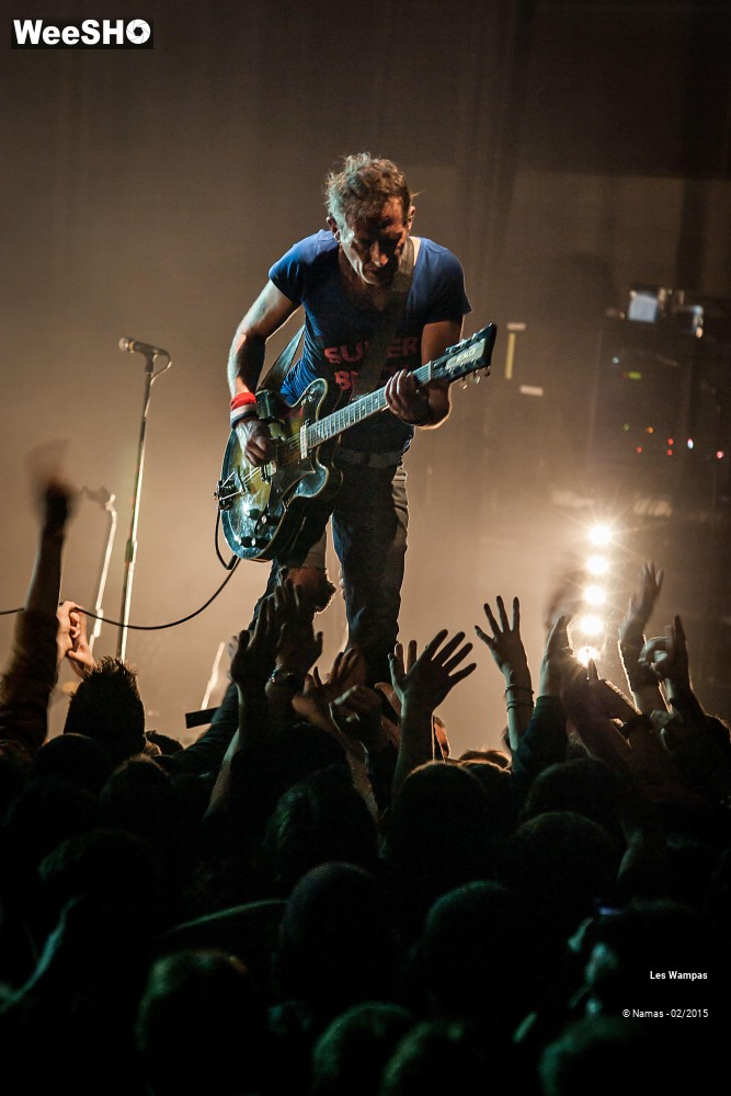 20/41 photos du spectacle Les Wampas