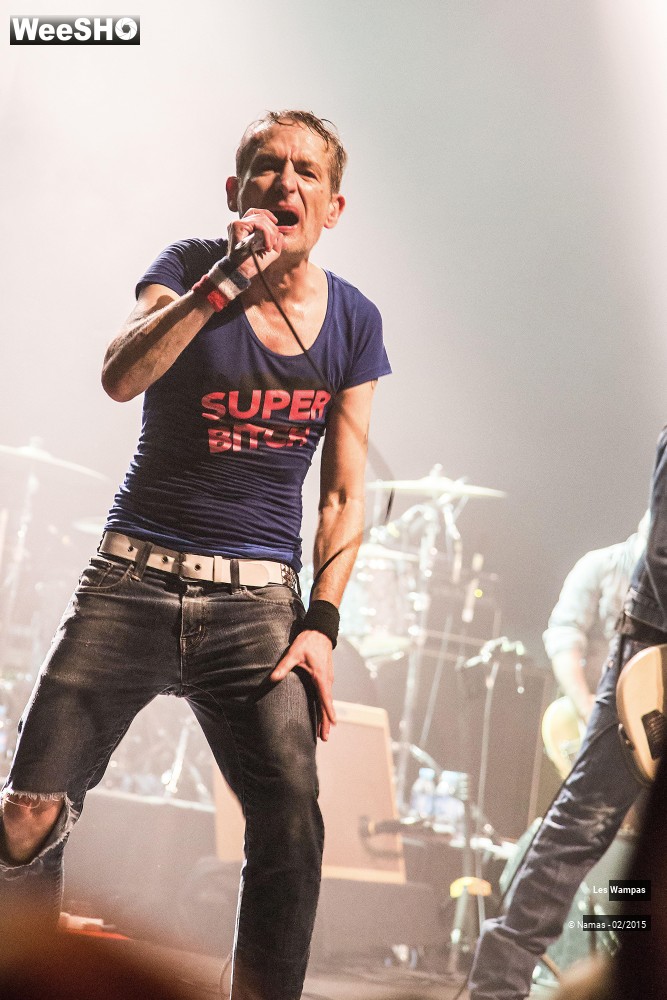 22/41 photos du spectacle Les Wampas