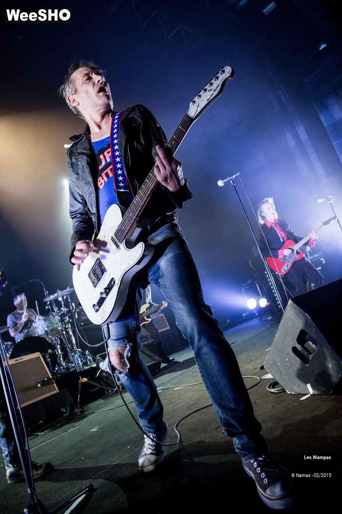24/41 photos du spectacle Les Wampas