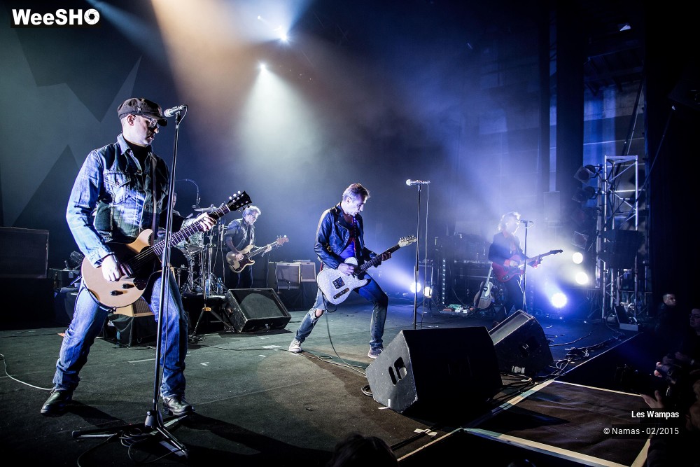 26/41 photos du spectacle Les Wampas