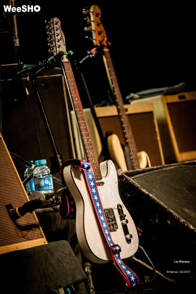 30/41 photos du spectacle Les Wampas
