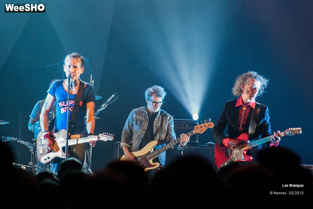 31/41 photos du spectacle Les Wampas