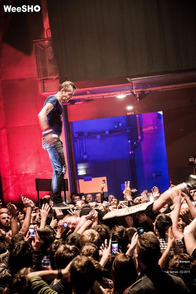 33/41 photos du spectacle Les Wampas