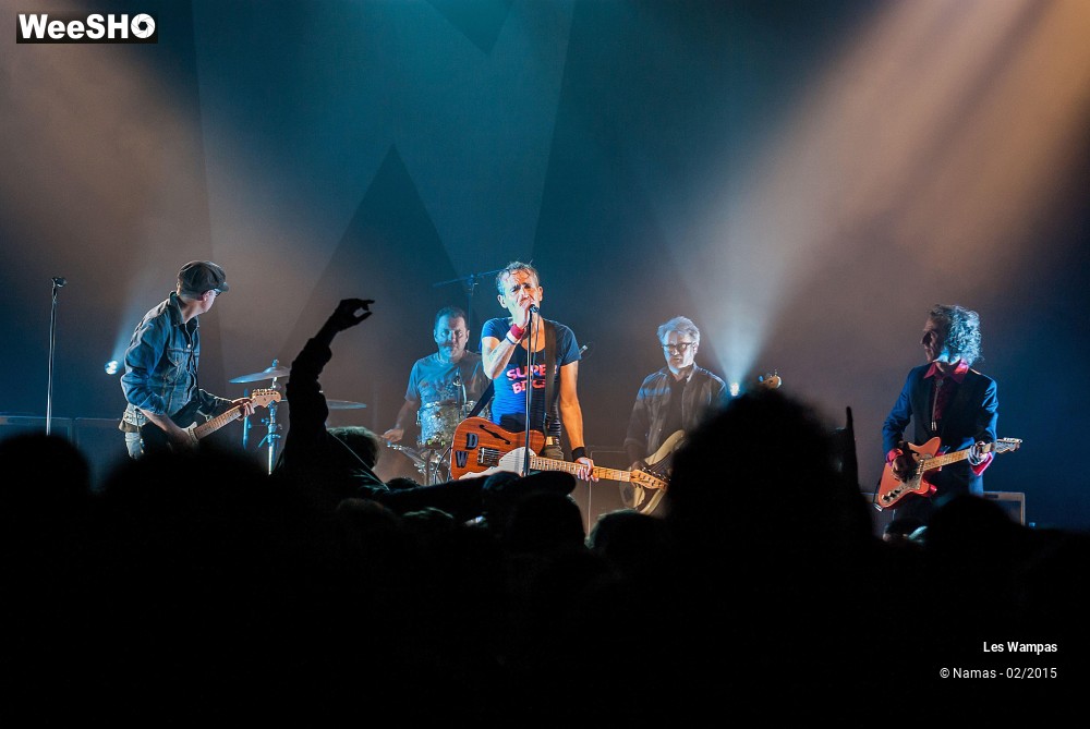 36/41 photos du spectacle Les Wampas