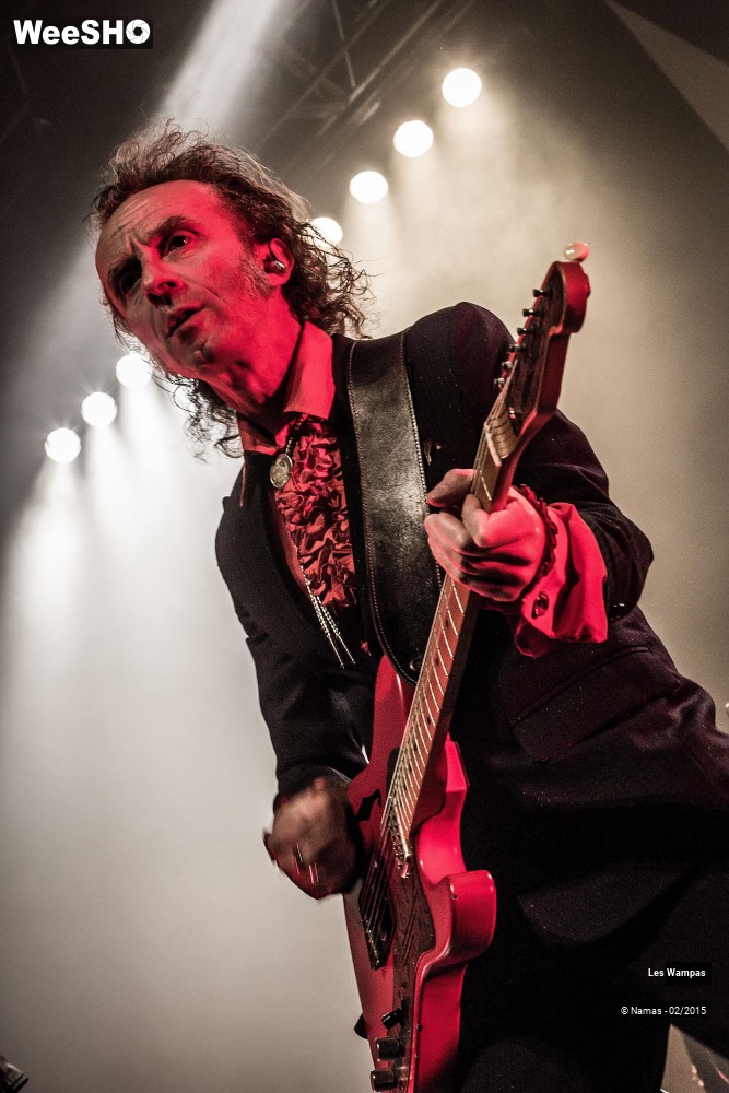 39/41 photos du spectacle Les Wampas
