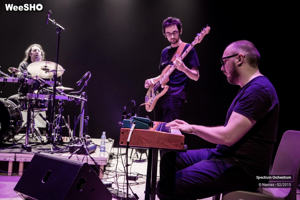 11/19 photos du spectacle Sprectrum Orchestrum